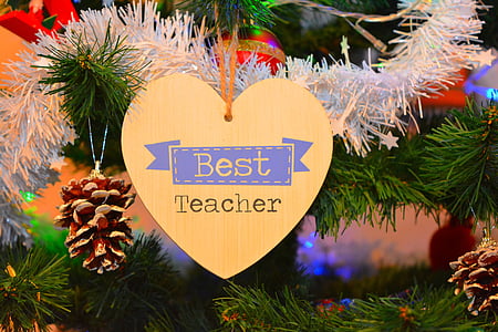 jõulud, Brad, kunstlik jõulupuu, jõulupuu, tähistada, ornament, parim õpetaja
