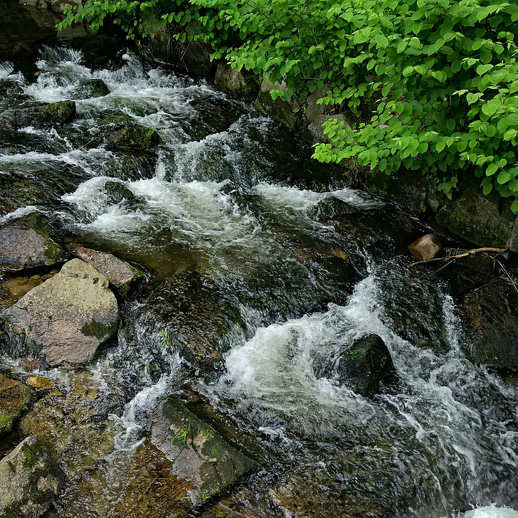 Річка, вільне володіння, потік води, камені, чорний ліс