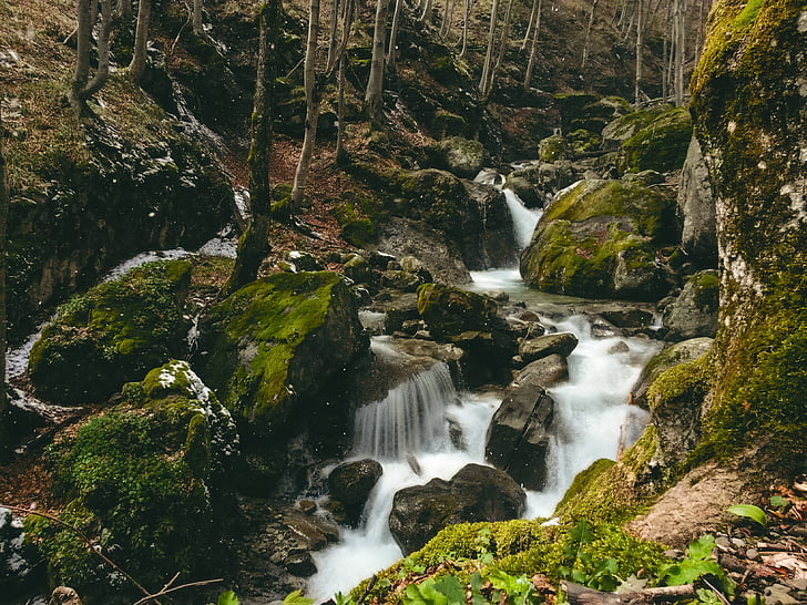 water, mountain, river, stream, rocks, moss green, forest
