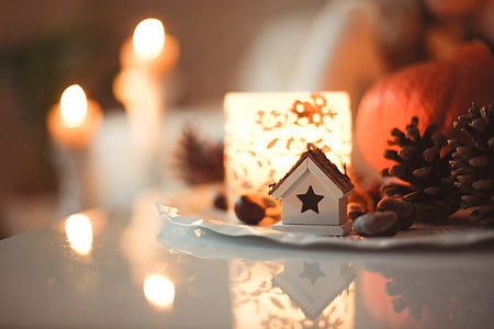 lighted, candle, plate, near, mini, birdhouse, chistmas