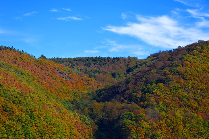 rurtalsperre, Eifel, Tyskland, landskab, bjerge, skov, efteråret skov