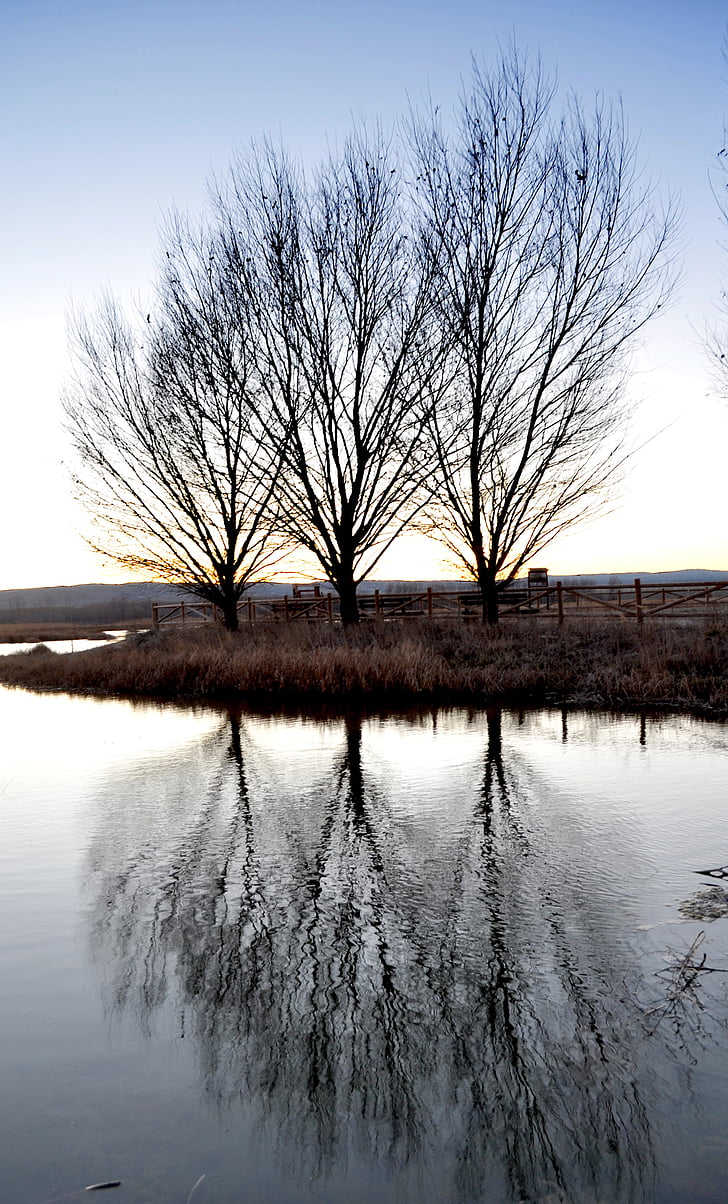 reflection, pond, lake, silhouette, nature, landscape, autumn