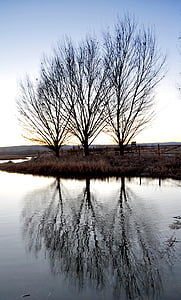 Reflexion, Teich, See, Silhouette, Natur, Landschaft, Herbst