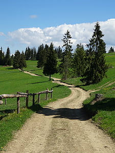 Tatra Boekovina, Polen, Toerisme, Trail, landschap, Tatry, natuur