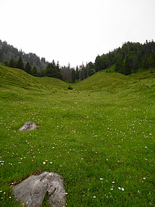 grassland, mountains, alpine, landscape, wilderness, scenery, natural