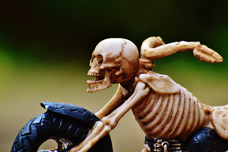 dviratininkas, skeletas, šliaužiantis, keista, apdaila, baisu, kaulų