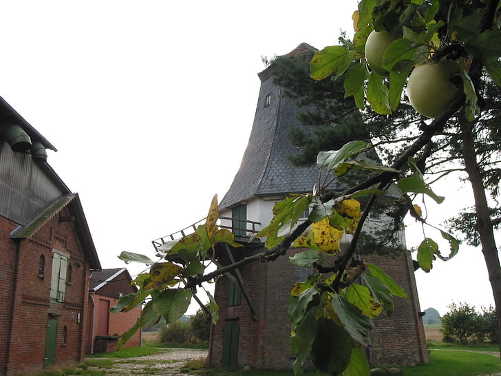 mill, windmill, autumn, apple, architecture, old, history