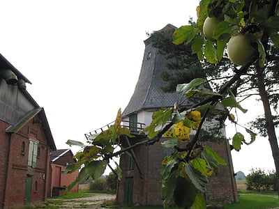 mlýn, větrný mlýn, podzim, Jablko, Architektura, staré, Historie