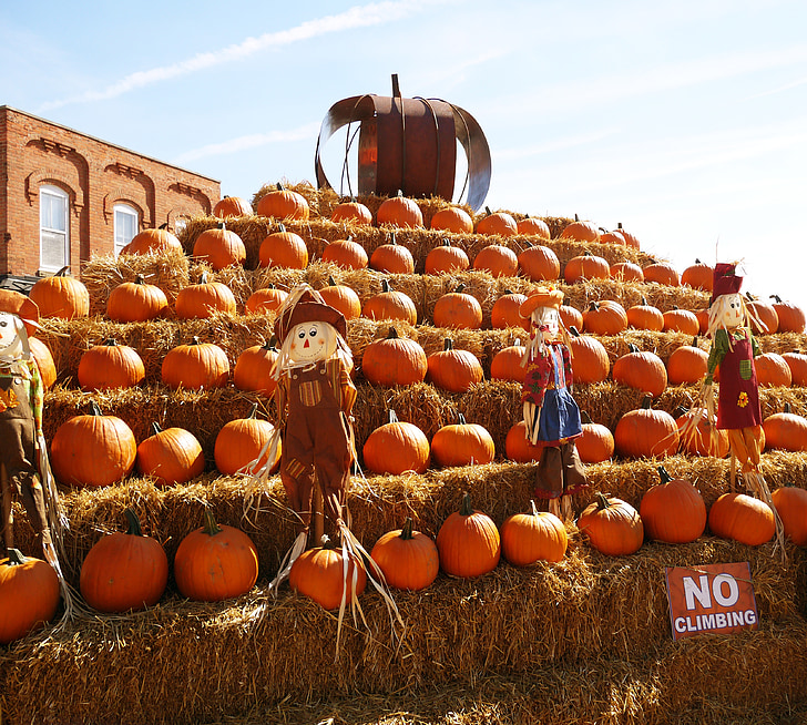 halloween, orange, october