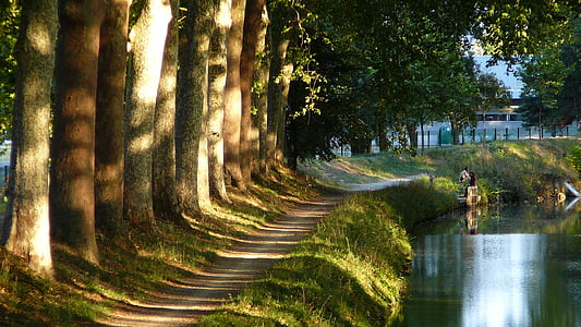 kanál, stromy, chodník, Toulouse