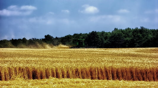 Ohio, pszenicy, żniwa, maszyny zniwne, gospodarstwa, obszarów wiejskich, gruntów rolnych
