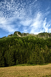 Tatry, Slovensko, krajina, pohled shora, hory, pohled, Příroda
