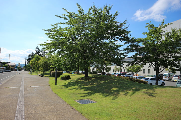 yonezawa, vasaros pradžioje, medžiais apsodintame prospekte, saulėta