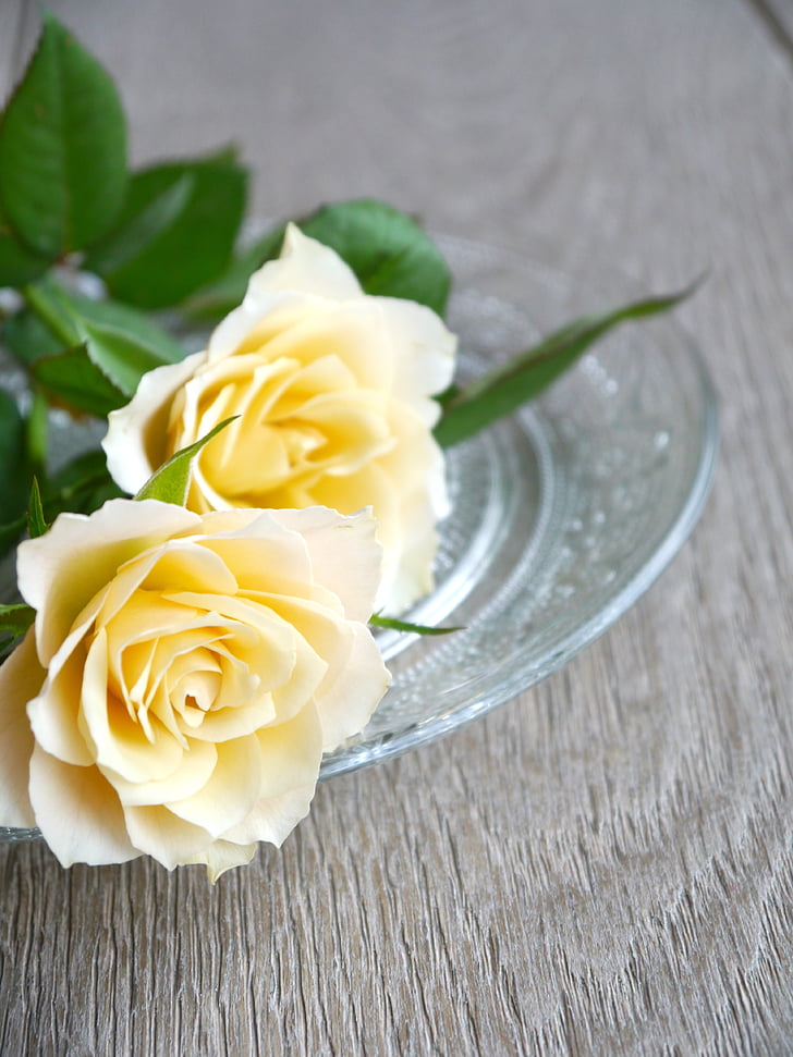 Rose, bouquet di Rose, bouquet, bianco, giallo, vista dall'alto, romantica