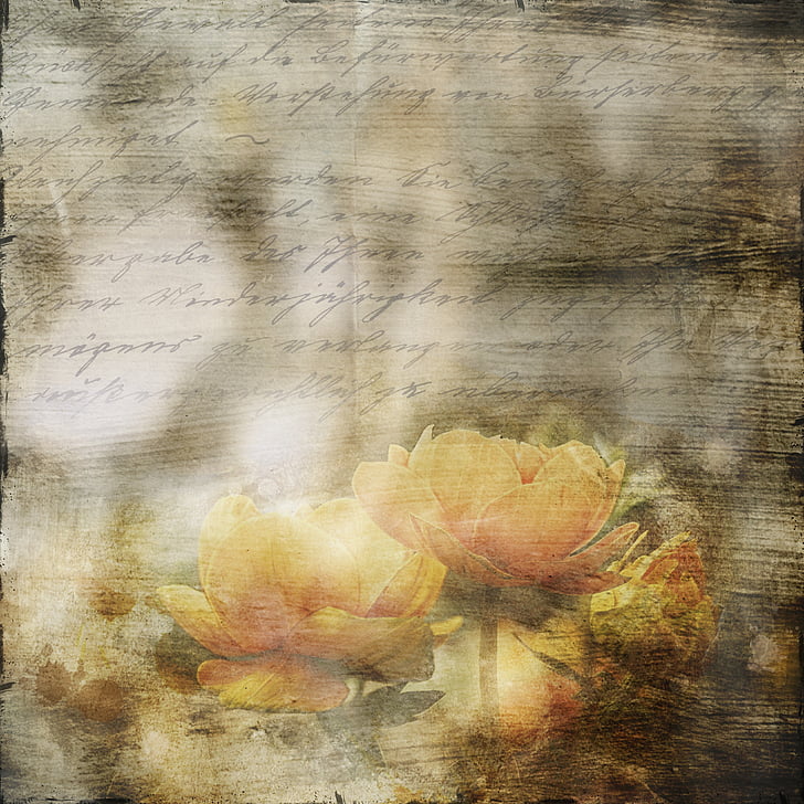 letters, old, flowers, art, font, backgrounds