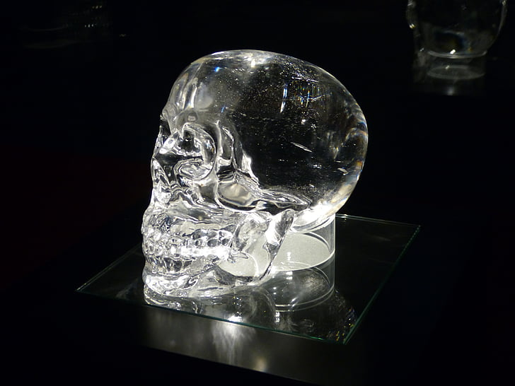 calavera de cristall, exposició, crani