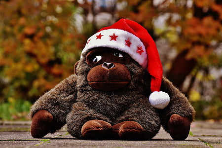 คริสมาสต์, หมวกซานต้า, ยัดไส้สัตว์, ตุ๊กตาผ้า, ลิง, กอริลลา, ตุ๊กตาหมี