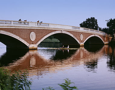 bridge, river, skulling, rowing, boat, arches, landscape