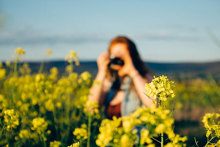 person, taking, picture, flower, daytime, yellow, flowers