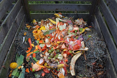zelenih odpadkov, kompost, kompost bin