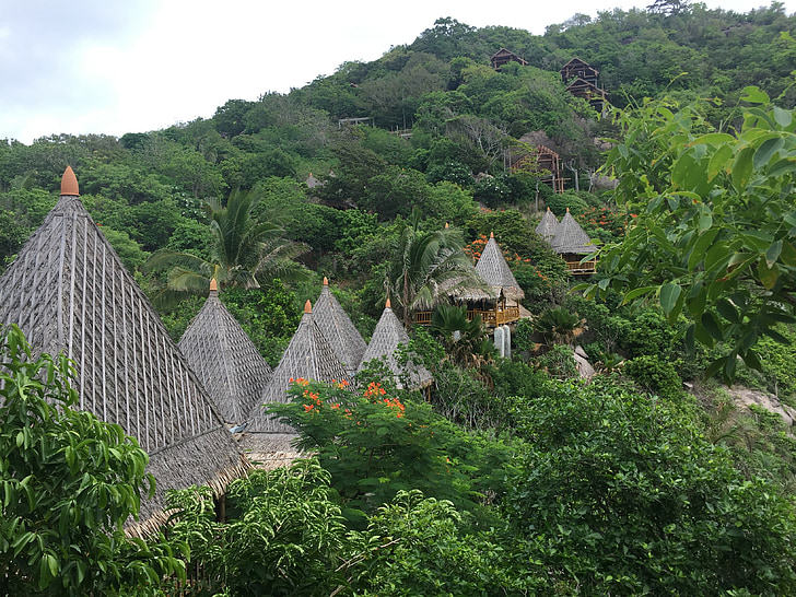 Taizeme, bungalo, Koh phi phi, džungļi, salas, eksotiski, kūrorts