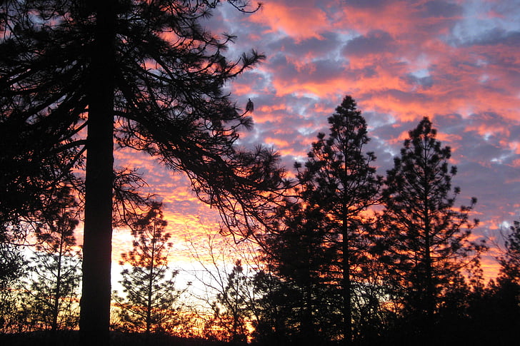 sunset, trees, clouds, sky