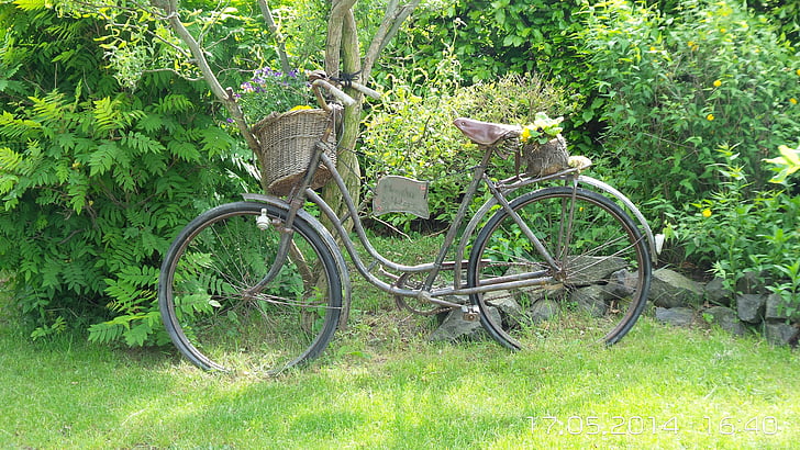 bicicleta, naturaleza, resto