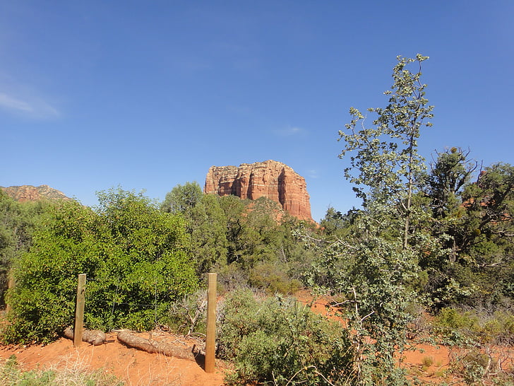 Arizona, desert de, Roca vermella, sud-oest usa, paisatge, desert, paisatge