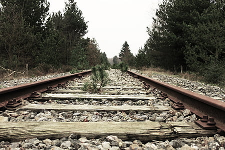 photo, train, rail, trees, rock, stone, outdoor