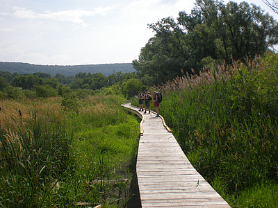 pochuck creek, Appalachian trail, New jersey, landskap, vildmarken, vacker natur, naturliga