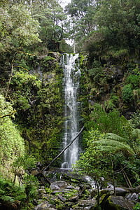 Erskine falls, ottways, Lorne, grande strada dell'oceano, Victoria, Australia, Baia di Apollo