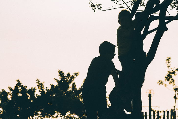 silhouette, photo, two, boy, climbing, tree, day