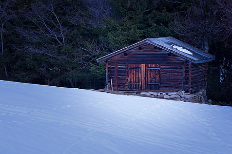 hut, log cabin, barn, hay barn, hayloft, heustadel, wood