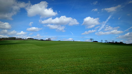 Meadow, paysage, Sky, vert, nature, paysages, été