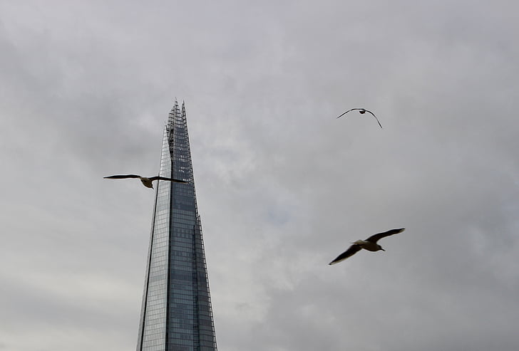 Kule, Londra, kuşlar, gökyüzü, İngiltere, Birleşik Krallık, mimari