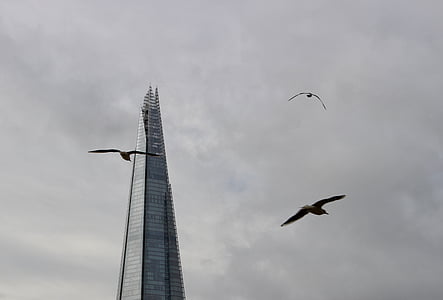 Turnul, Londra, păsări, cer, Anglia, Marea Britanie, arhitectura
