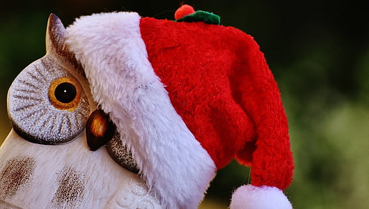 jul, Uggla, Santa hatt, kontemplativa, Figur, dekoration, Söt