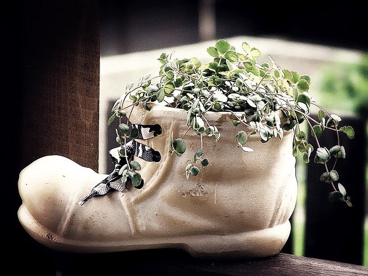 Sepatu, dekorasi, pot bunga