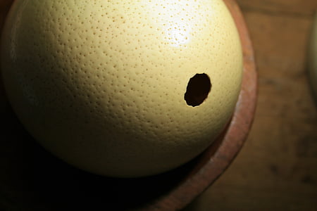 huevo de avestruz, cáscara, huevo, avestruz, Buff, con hoyuelos, fuerte