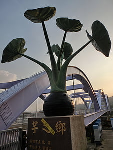 Taro, Jiaxian dist, Kaohsiung mesto, Taiwan, Most