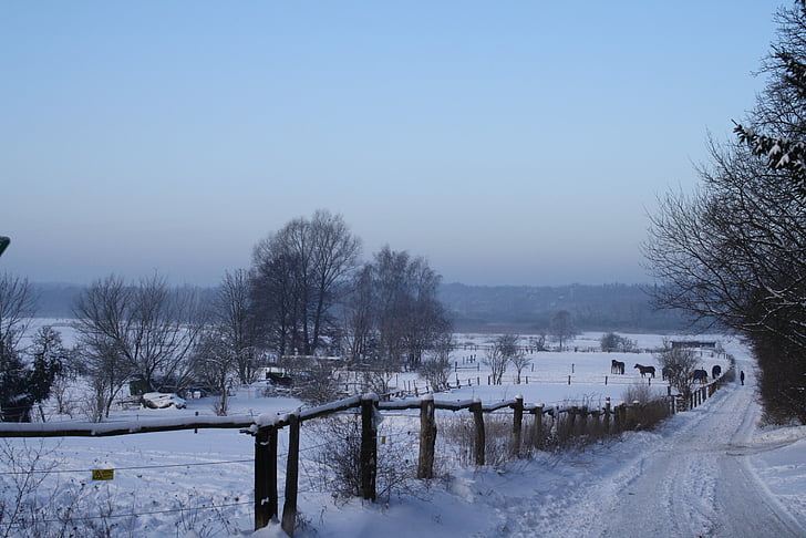 krajolik, priroda, Zima, snijeg, spojke, konji, ograda