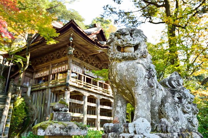Japan, Landschaft, natürliche, im freien, Blick auf japan, k, Grün