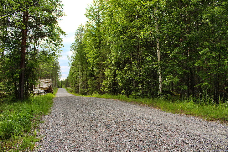 dirt road, finland, nature, road, dirt, forest, tree