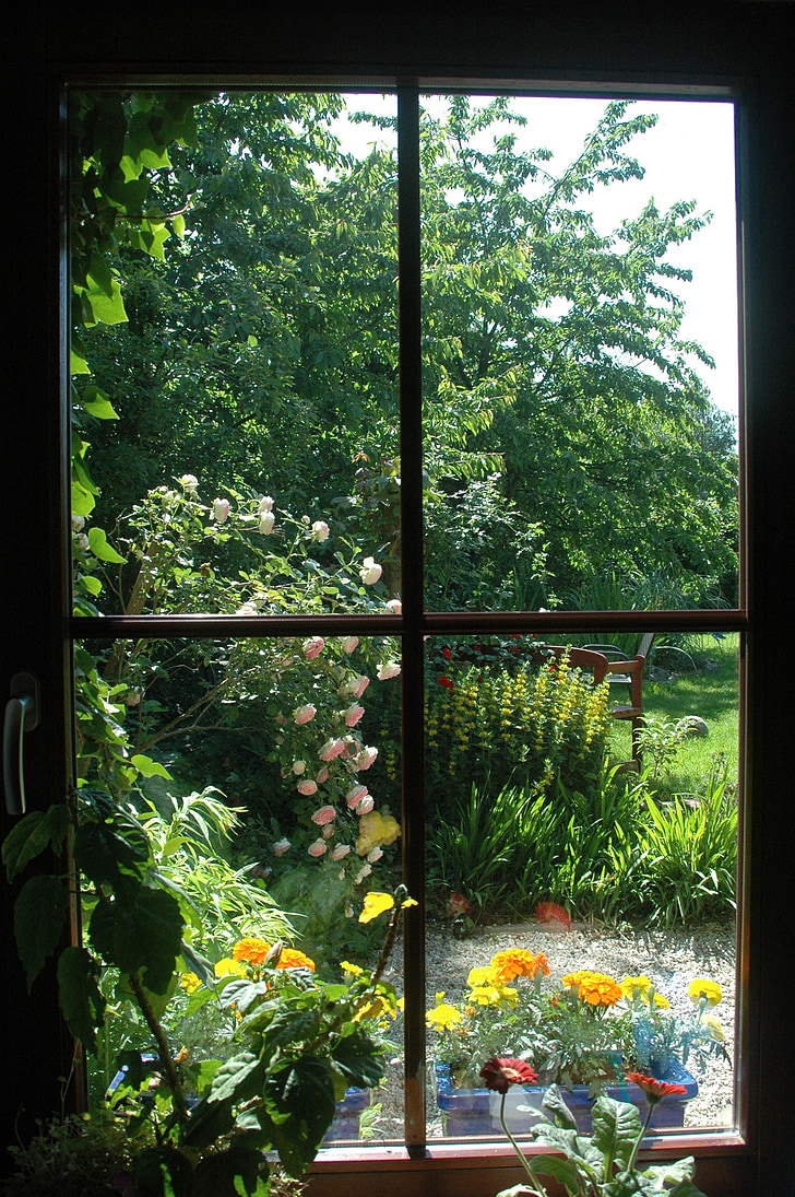 garden, flowers, spring, plant, window, outlook, view
