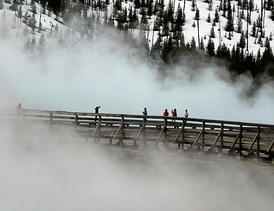 Geyser, é.-u., Yellowstone, brouillard, non, chaud bien