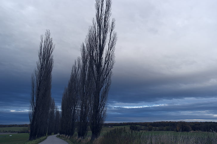 paysage avant la tempête, nuages bleus, colère des dieux, arbres