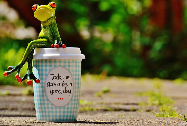 vakker dag, glede, frosk, kaffe, Cup, glad, lykke