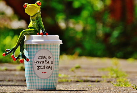 szép napot, öröm, béka, kávé, kupa, boldog, boldogság