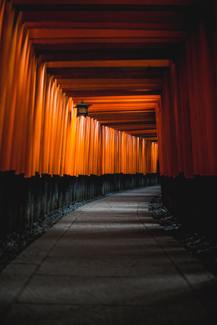 arhitektūra, Japāna, Kioto, Sintoisms, tūristu piesaistei, oranžās krāsas, ceļš uz priekšu