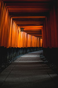 architecture, Japon, Kyoto, shinto, attraction touristique, couleur orange, la marche à suivre